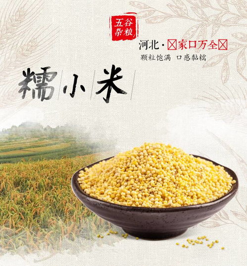 大自然的馈赠 营养从“小米”开始